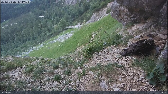 Screenshot (23)