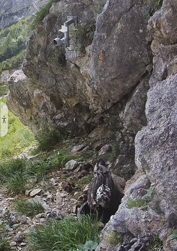 Screenshot_20250623_103320_Samsung Internet