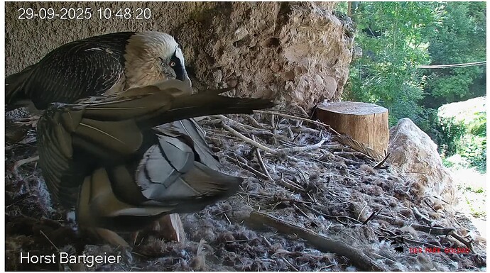 Screenshot_20250929-104932~2