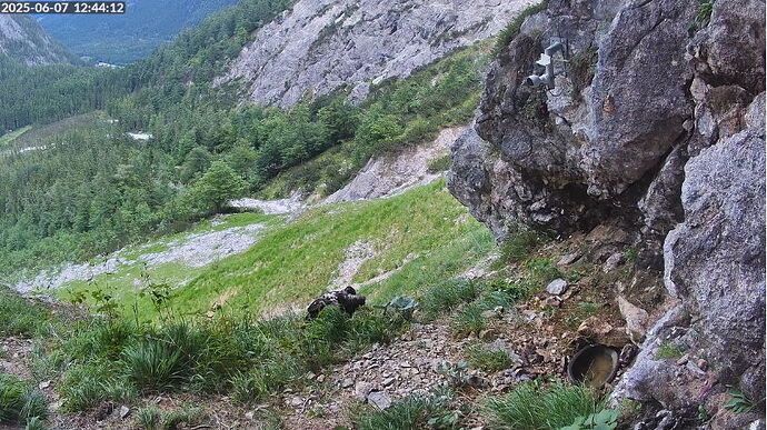 Snap_2025.06.07_12h44m41s_008_