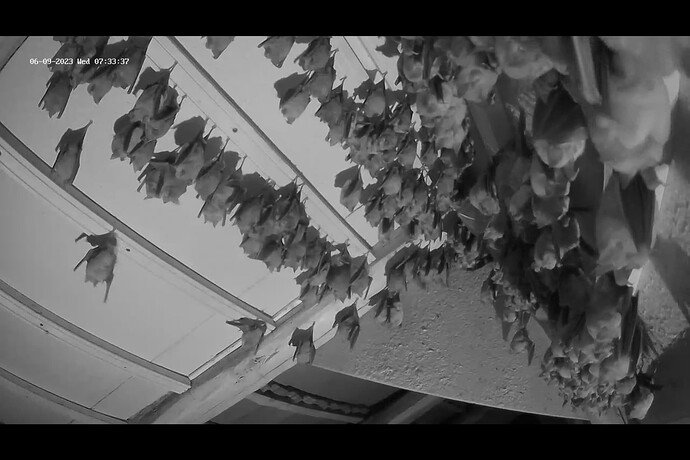 Screenshot (233)