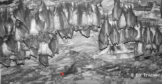 2025-12-06 Wimpi kriecht zum Versteck 2