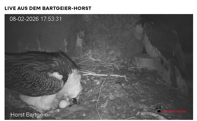 Screenshot_20260208-175435~2