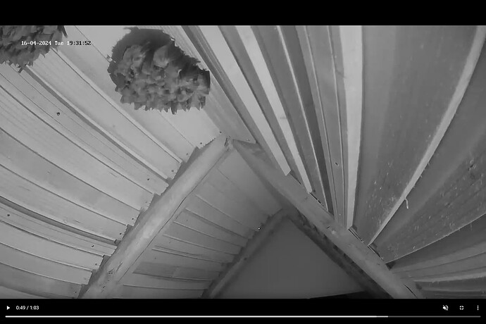 Screenshot (442)