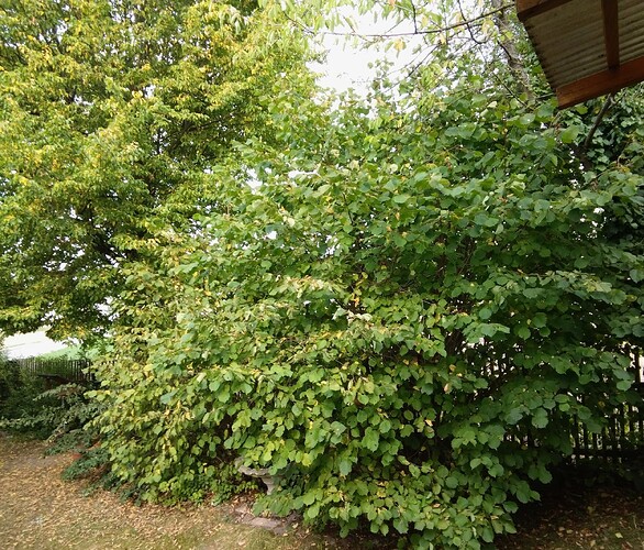 IMG_20250820_170731_258