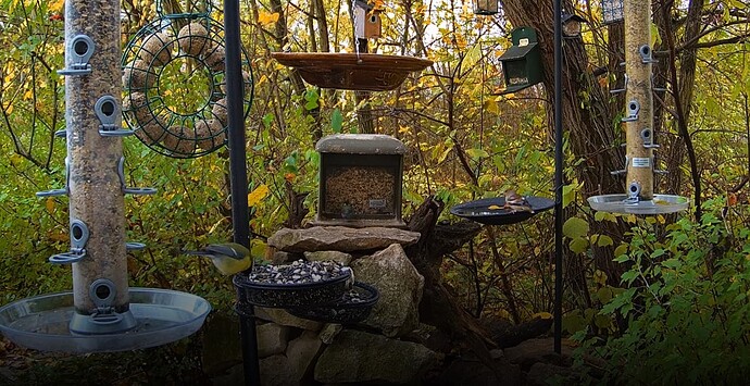 Kerni u. Kohli, aufgeräumt 13.11.24