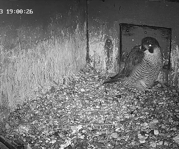 Screenshot_20230922-195836~2