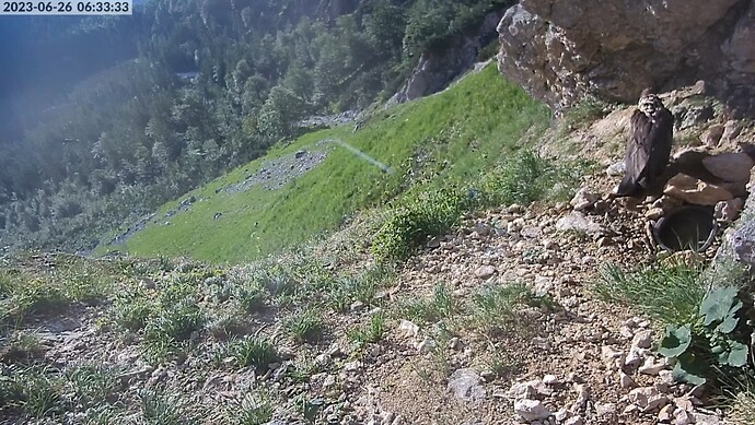 Vorbeiflug Sisi