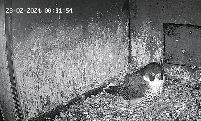 Screenshot_2024-02-23-00-28-48-097_com.android.chrome