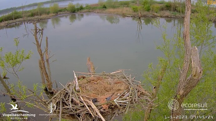 Screenshot_20230501-094607_Samsung Internet