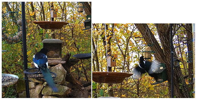 Snap_2024.11.10_07h54m47s_007_