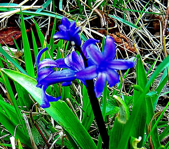 DSC02470