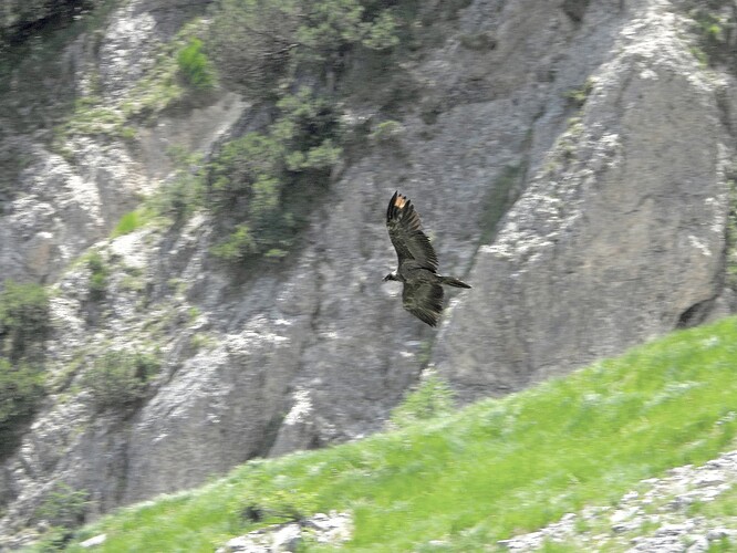 DSCN1247