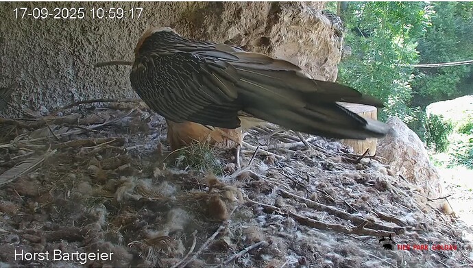 Screenshot_20250917-110035~2