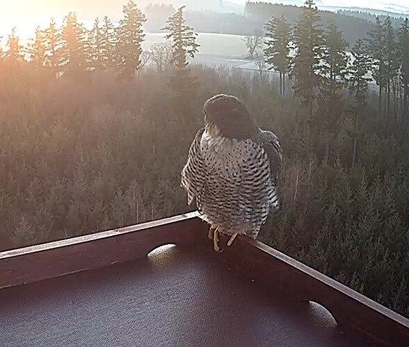 Screenshot_2024-01-30-07-46-39-900_com.android.chrome