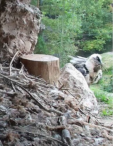 Screenshot_20251010-124226~2