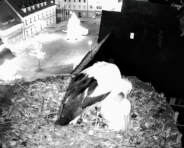 Screenshot_2023-12-18-19-41-49-335_com.android.chrome