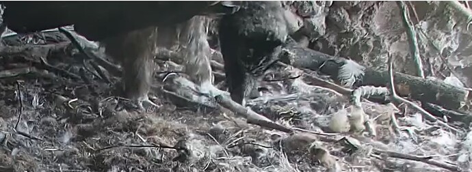 Holzarbeit 1 25.05.24