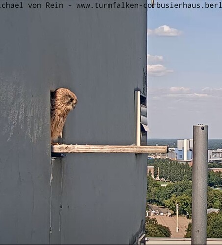 Screenshot_20240827_130822_Chrome