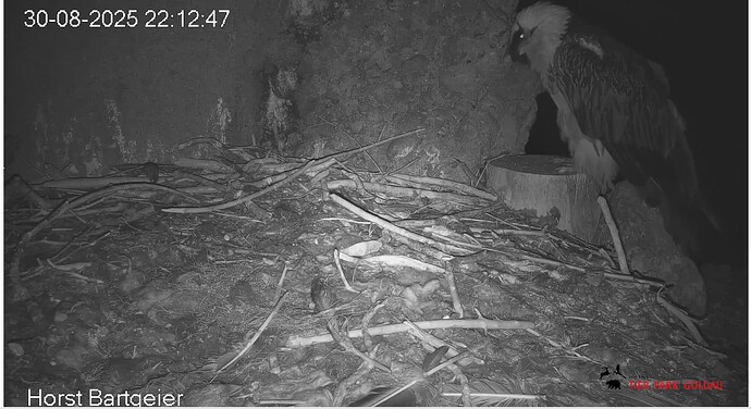 Screenshot_20250830-221356~2