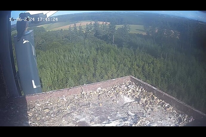 Screenshot (489)