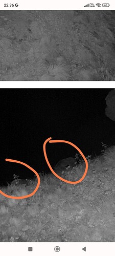 Screenshot_2023-06-12-22-36-59-061-edit_com.android.chrome