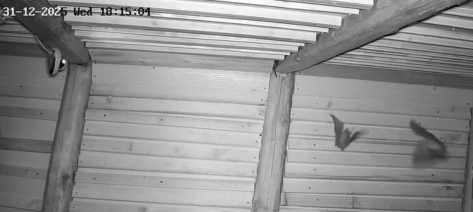 2025-12-31 ab 17.00_4 Hufis in WG