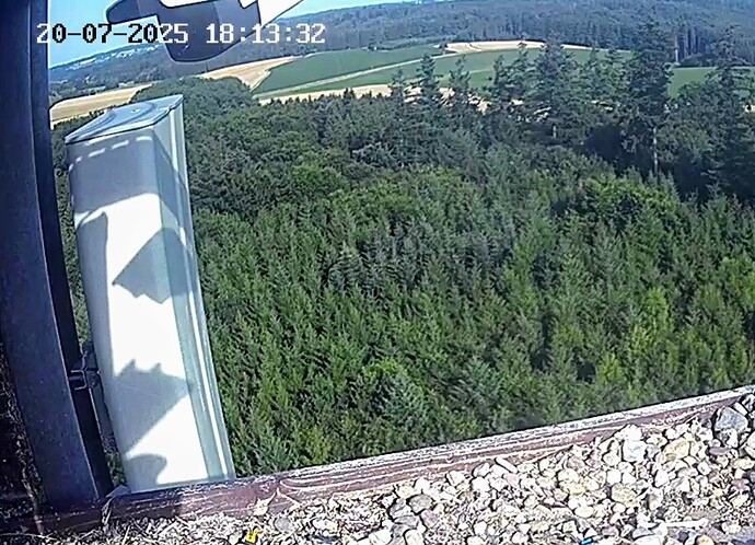 Screenshot_2025-07-20-18-13-36-849_com.android.chrome