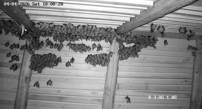 2026-04-04_3 abstrakte Kunst 2