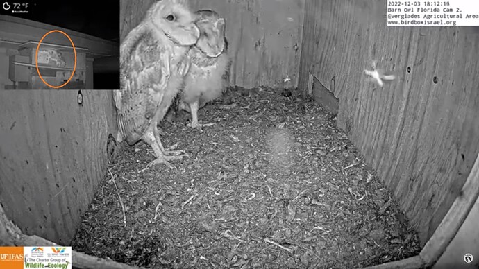 BOFL_221203_one_porch_2c