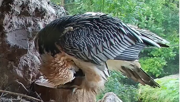 M Morgentoilette 28.09.25