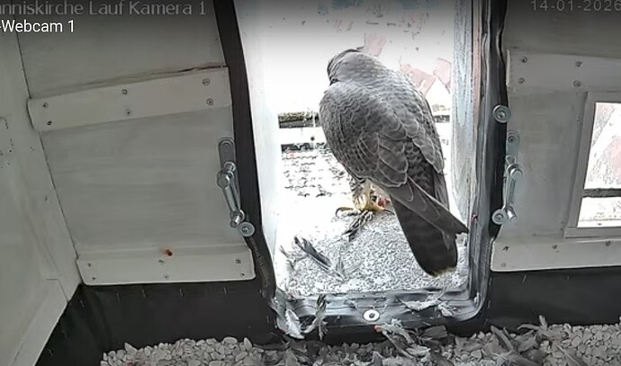 Screenshot_20260114-144842~2