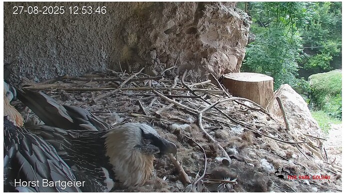 Screenshot_20250827-125450~2