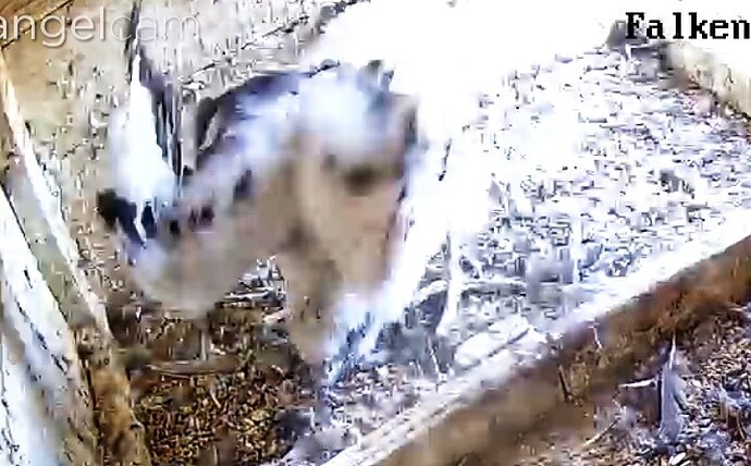 Screenshot_20230517-162539-01