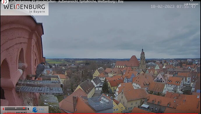 Snap_2023.02.18_07h56m05s_012_