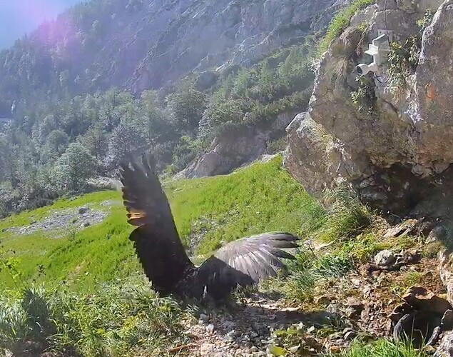 Screenshot_2025-06-19-07-03-44-879_com.android.chrome