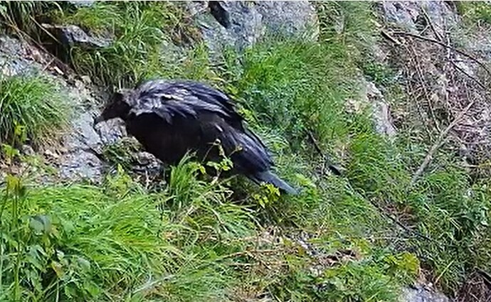 G. auf Wanderschaft 03.06.25