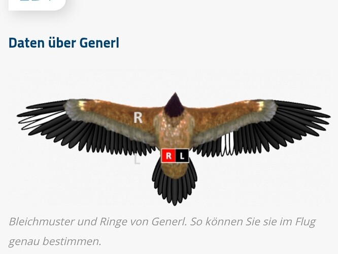 Screenshot_20250527-170035_Chrome