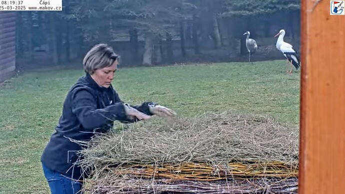 Screenshot_2025-03-25-09-57-25-510_com.android.chrome