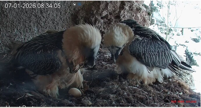 Eiübergabe 07.01.26