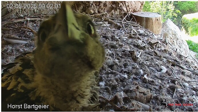 Barti will es genau wissen 02.05.25