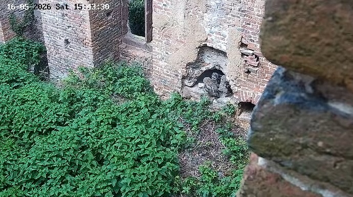 U487