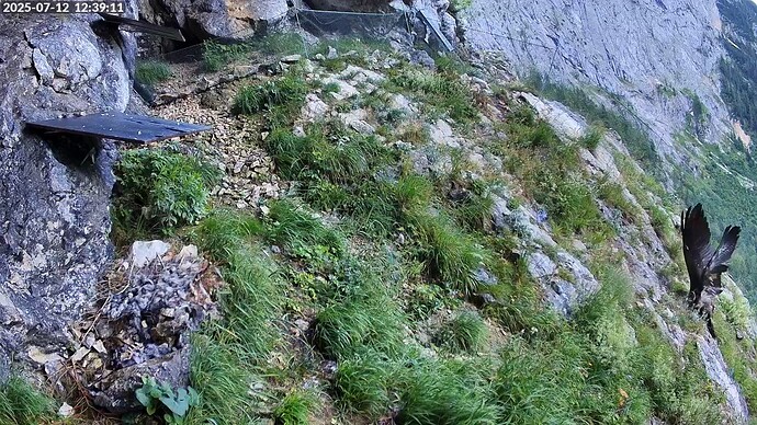 Bildschirmfoto vom 2025-07-12 12-39-34