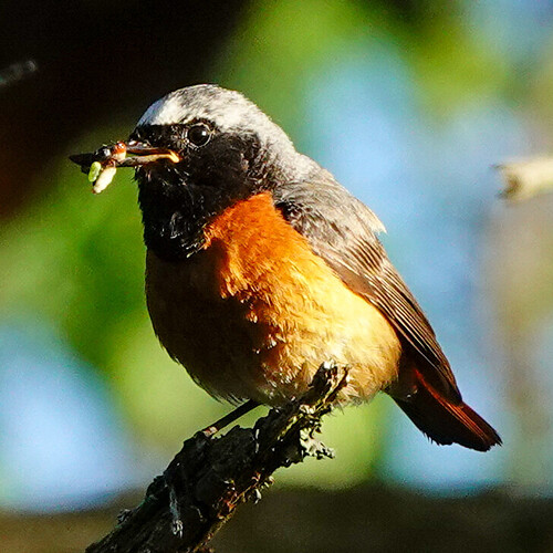 DSC06663