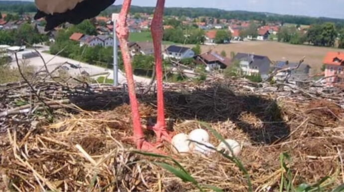 Screenshot_20240512_122947_YouTube