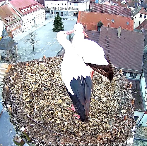 Screenshot_20231231-081525~2