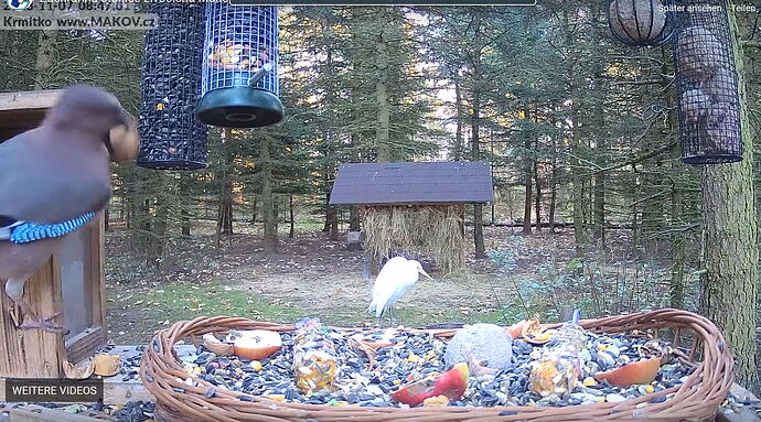 Snap_2023.11.07_10h27m05s_006_