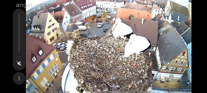 Screenshot_2023-12-18-16-35-14-01_40deb401b9ffe8e1df2f1cc5ba480b12