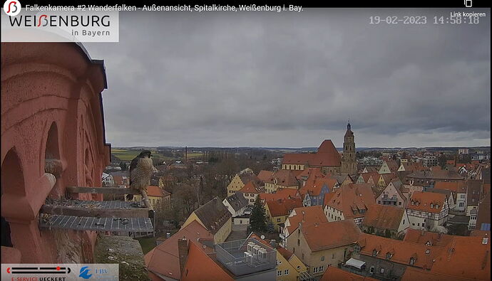 Snap_2023.02.19_14h58m36s_028_