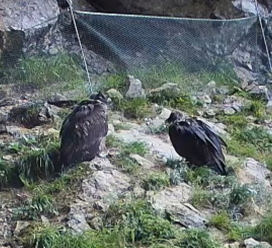 Screenshot_20250616_061838_Edge